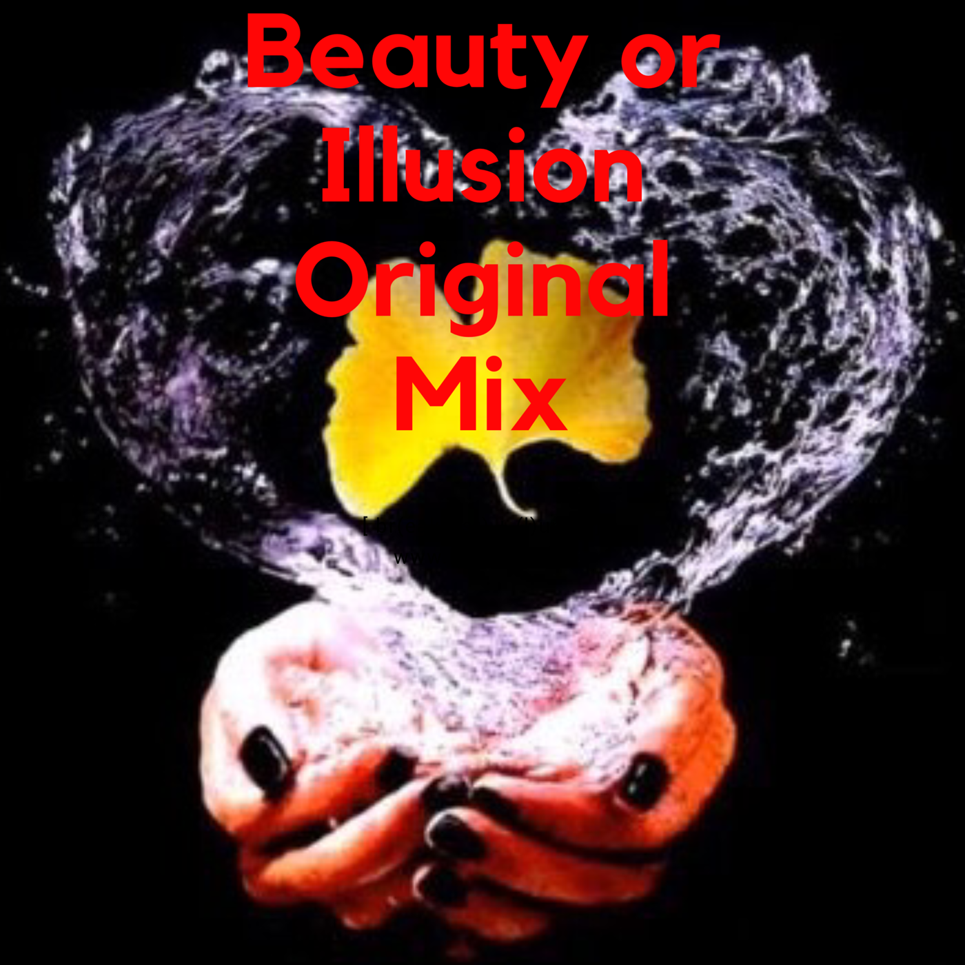 Beauty or Illusion Original Mix