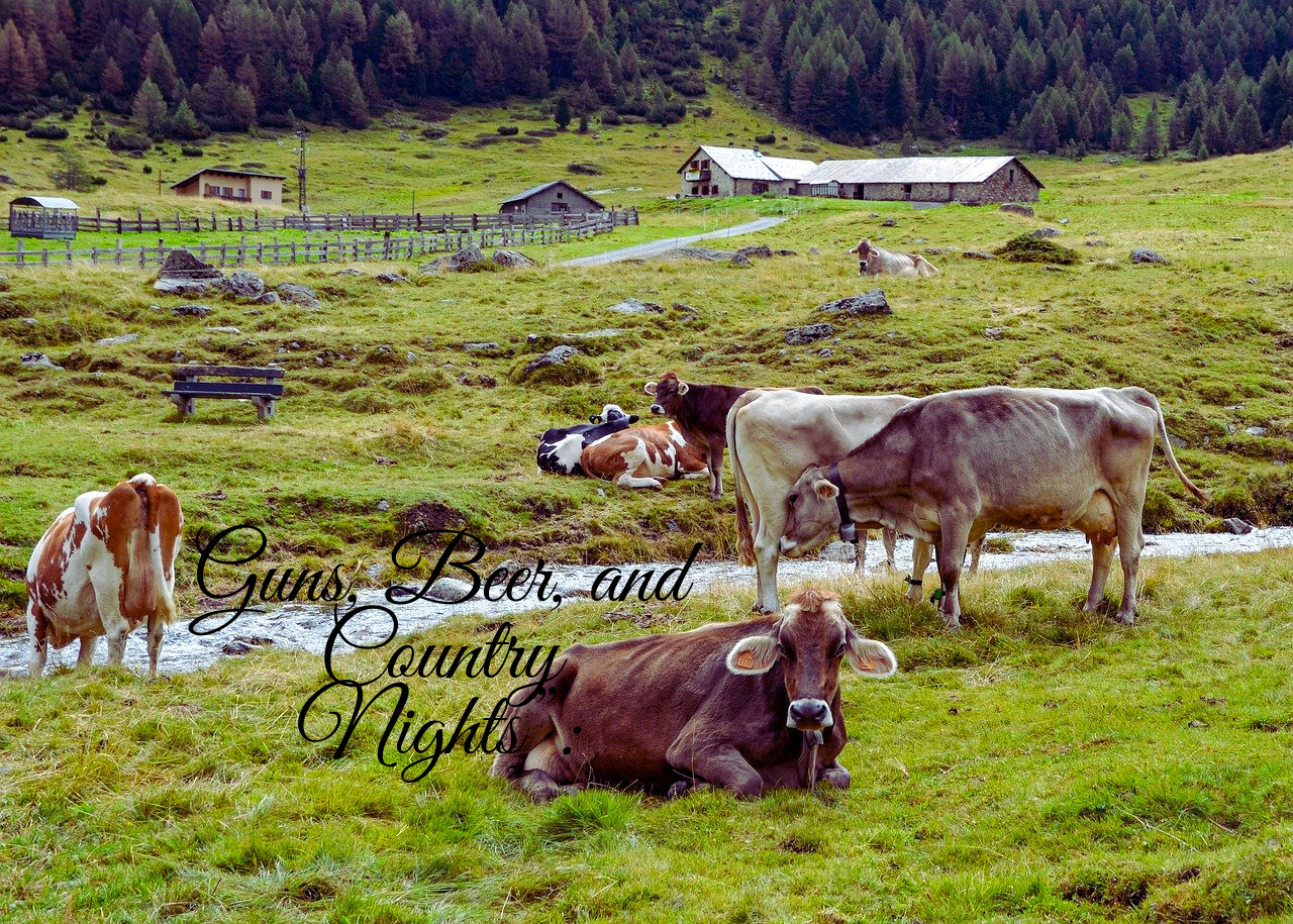  Guns, beer, and country nights,