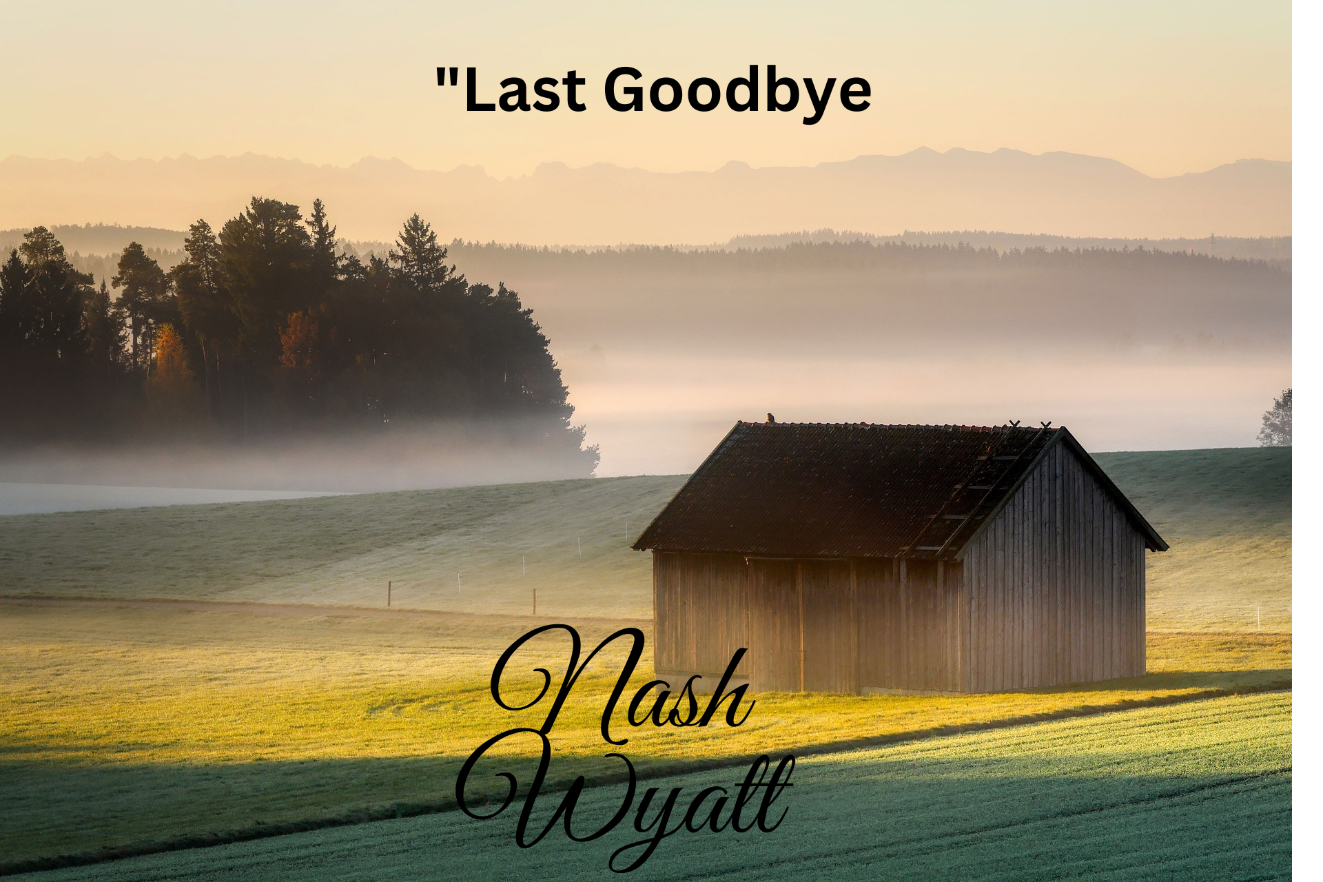  “Last Goodbye