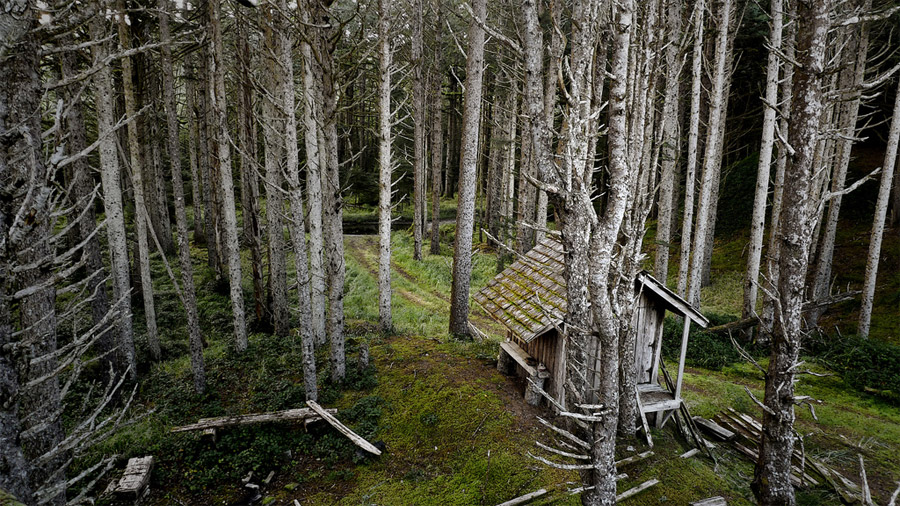 ‘AS FOR ME AND MY HOUSE’