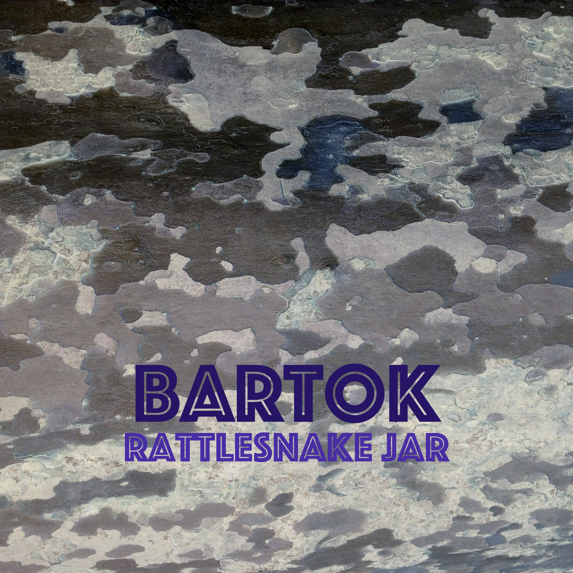 Bartok