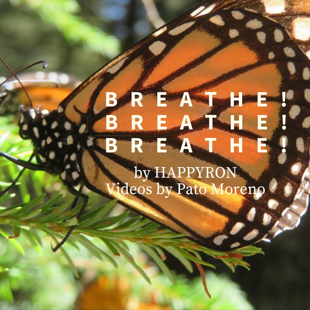 Breathe! Breathe! Breathe!