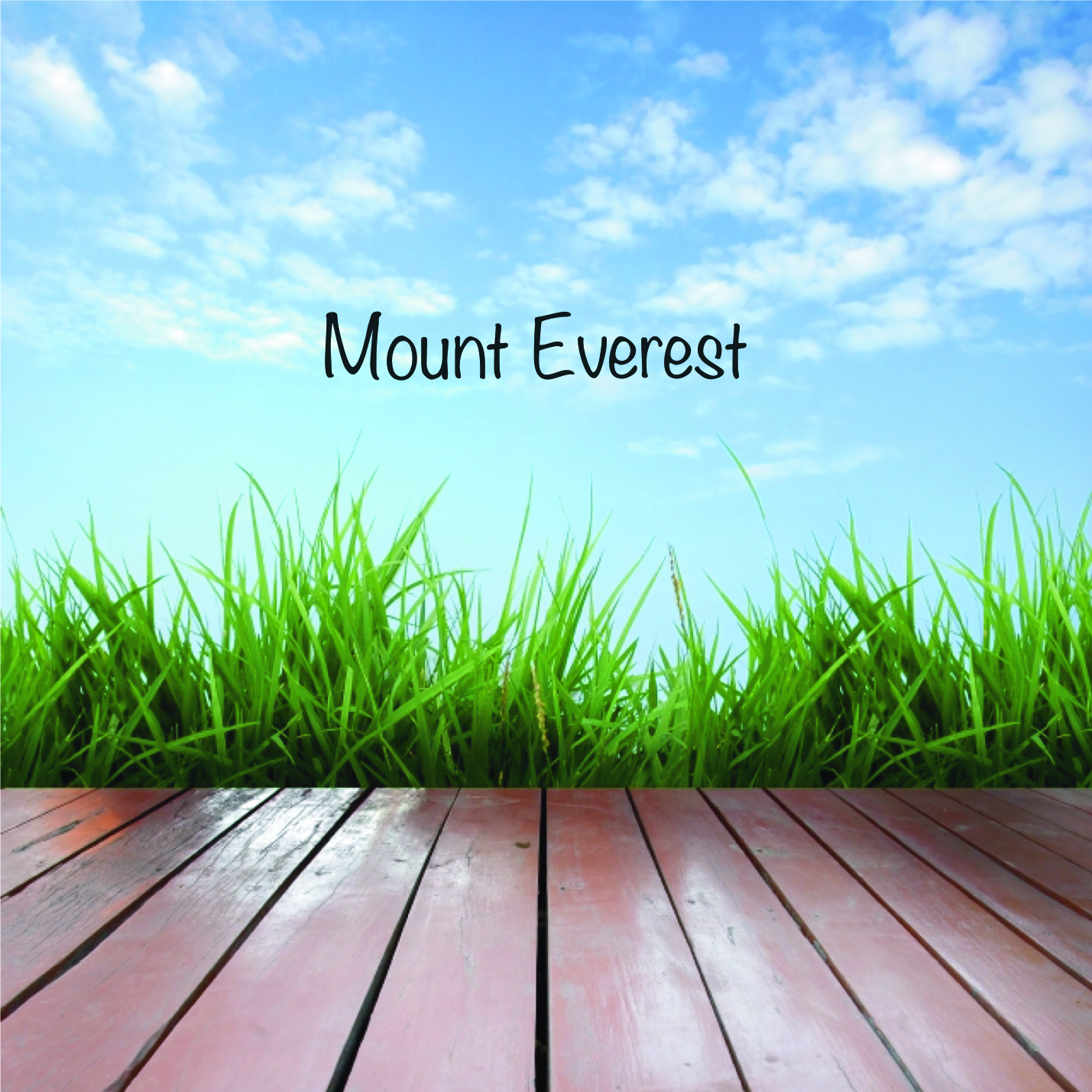 Mount Everest