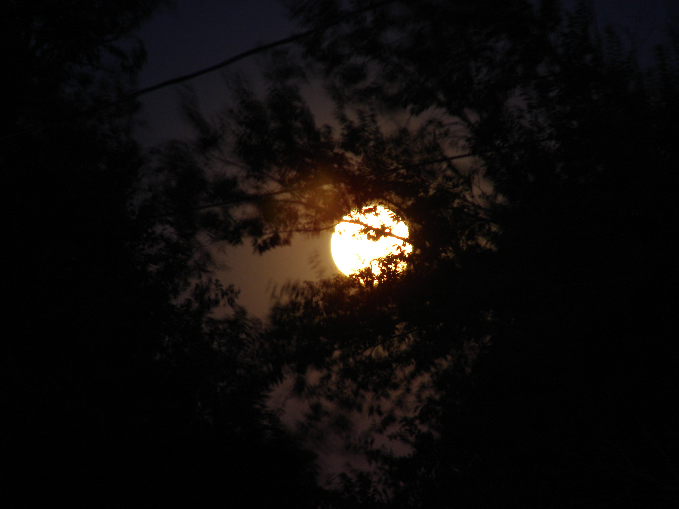 Having a Beer With the Moon