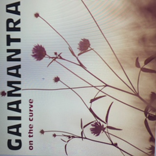 Turning On The Curve