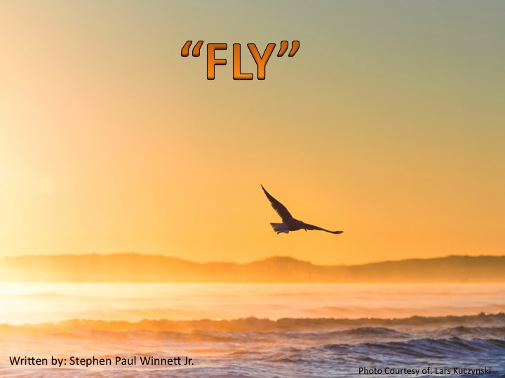 Fly