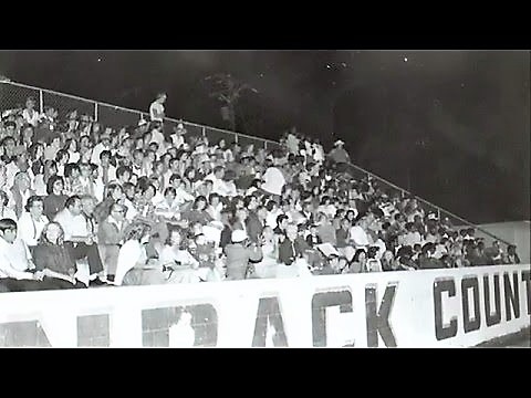 WE ARE THE GREENBACKS