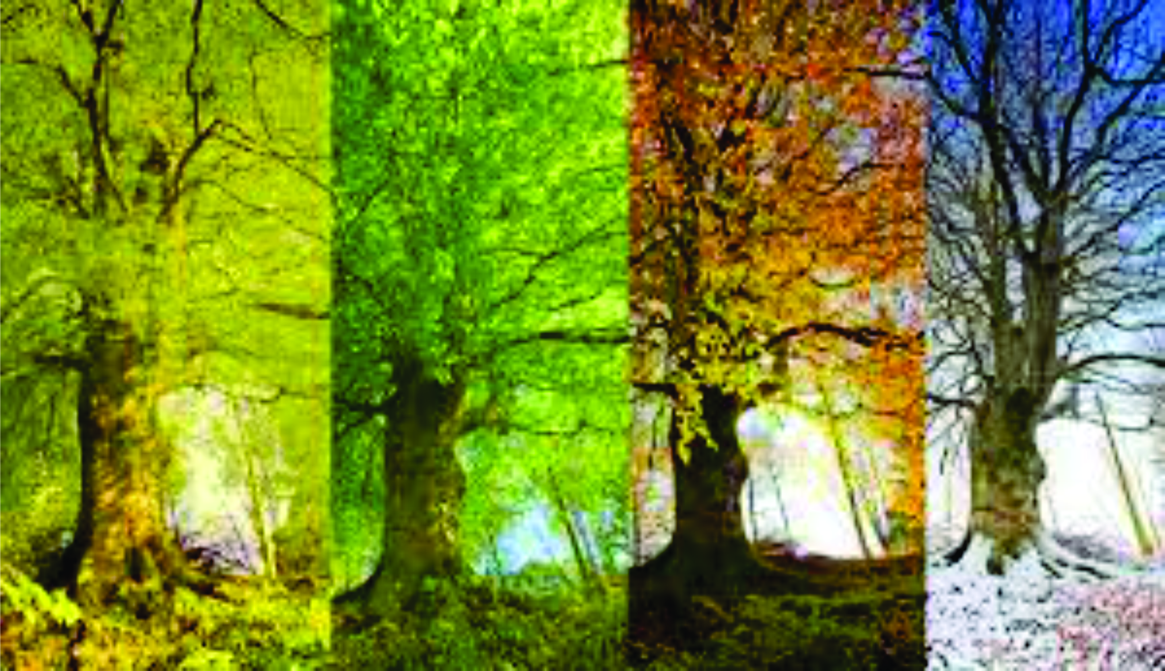 Gods Got the Seasons