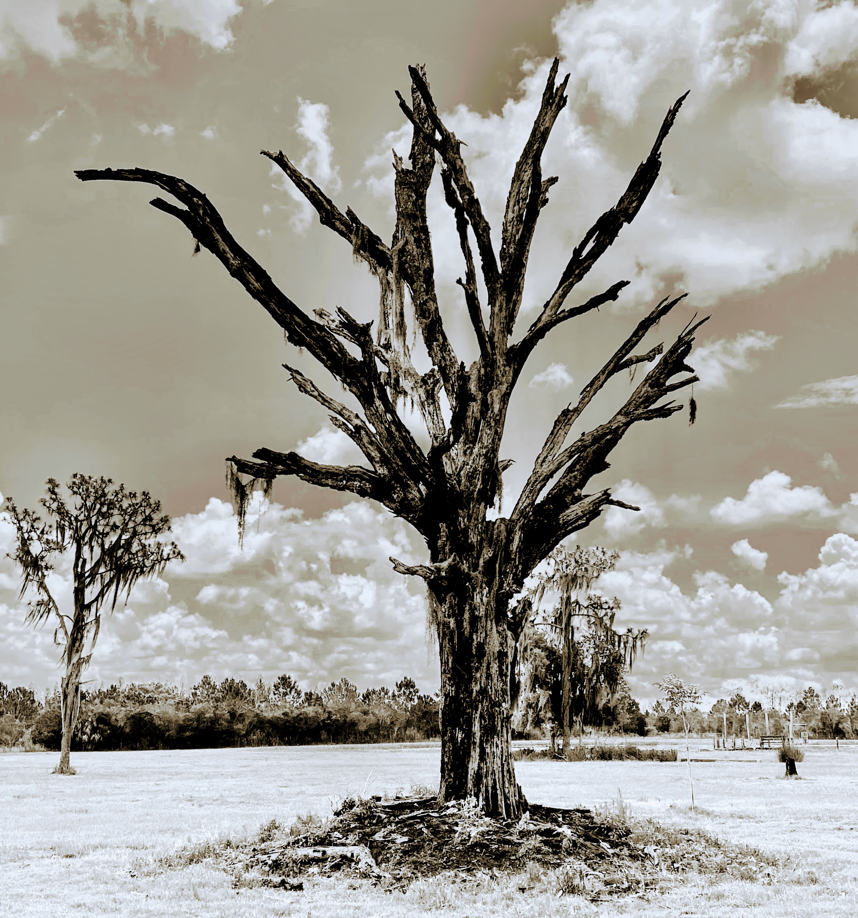 I’m Not Made That Way