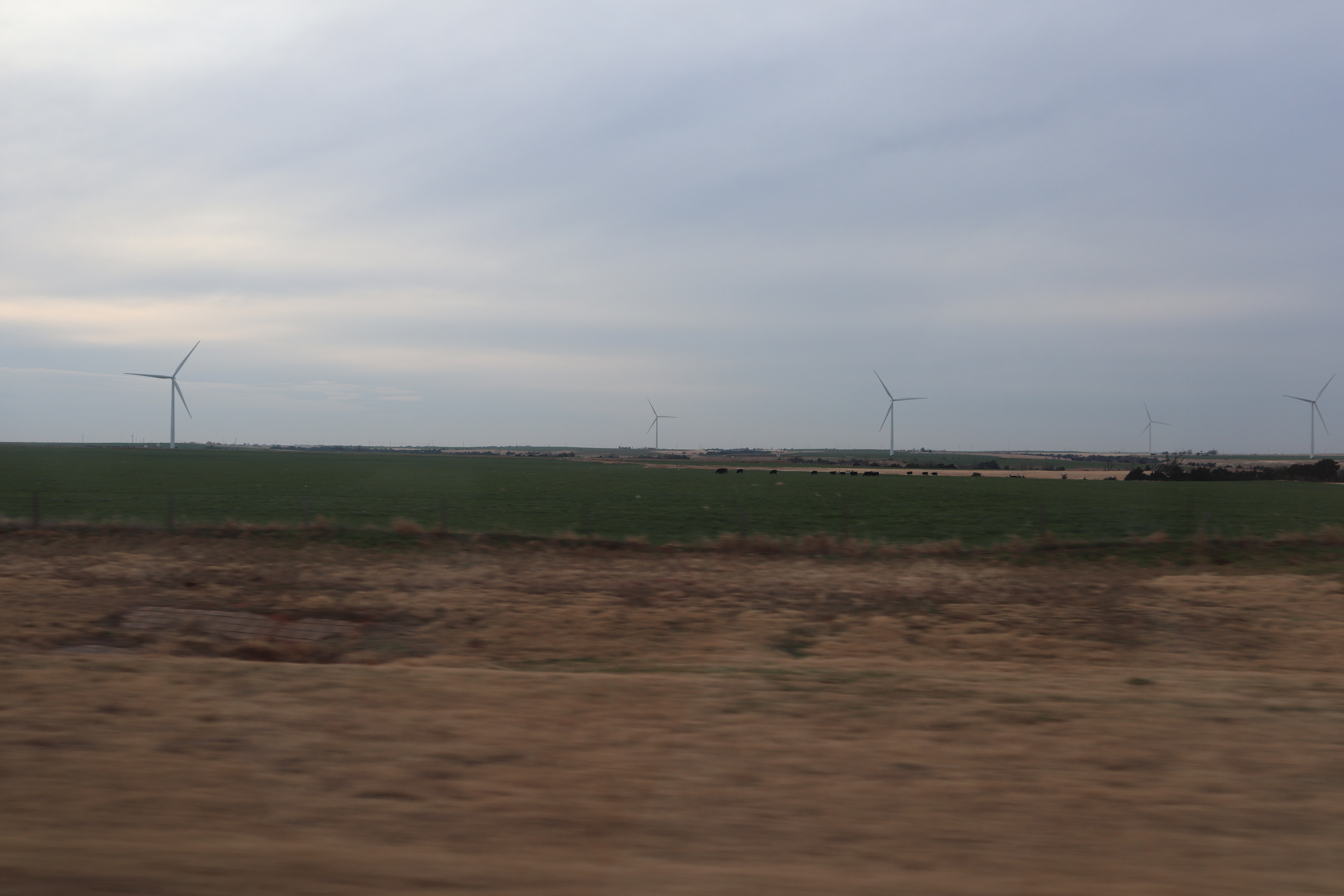  Hoo Doo Voo Doo Woman