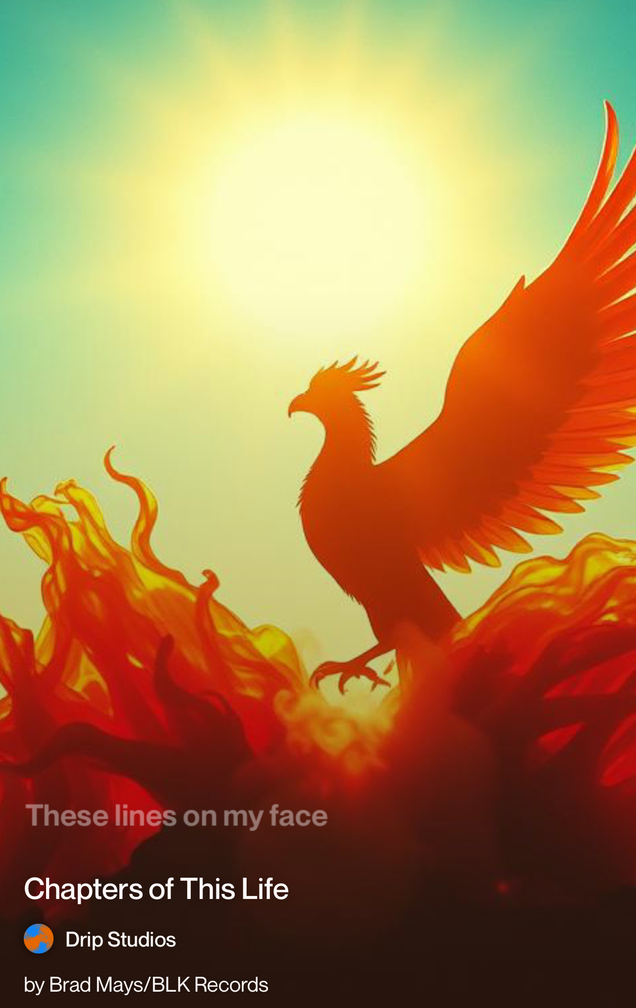 Chapters of This Life