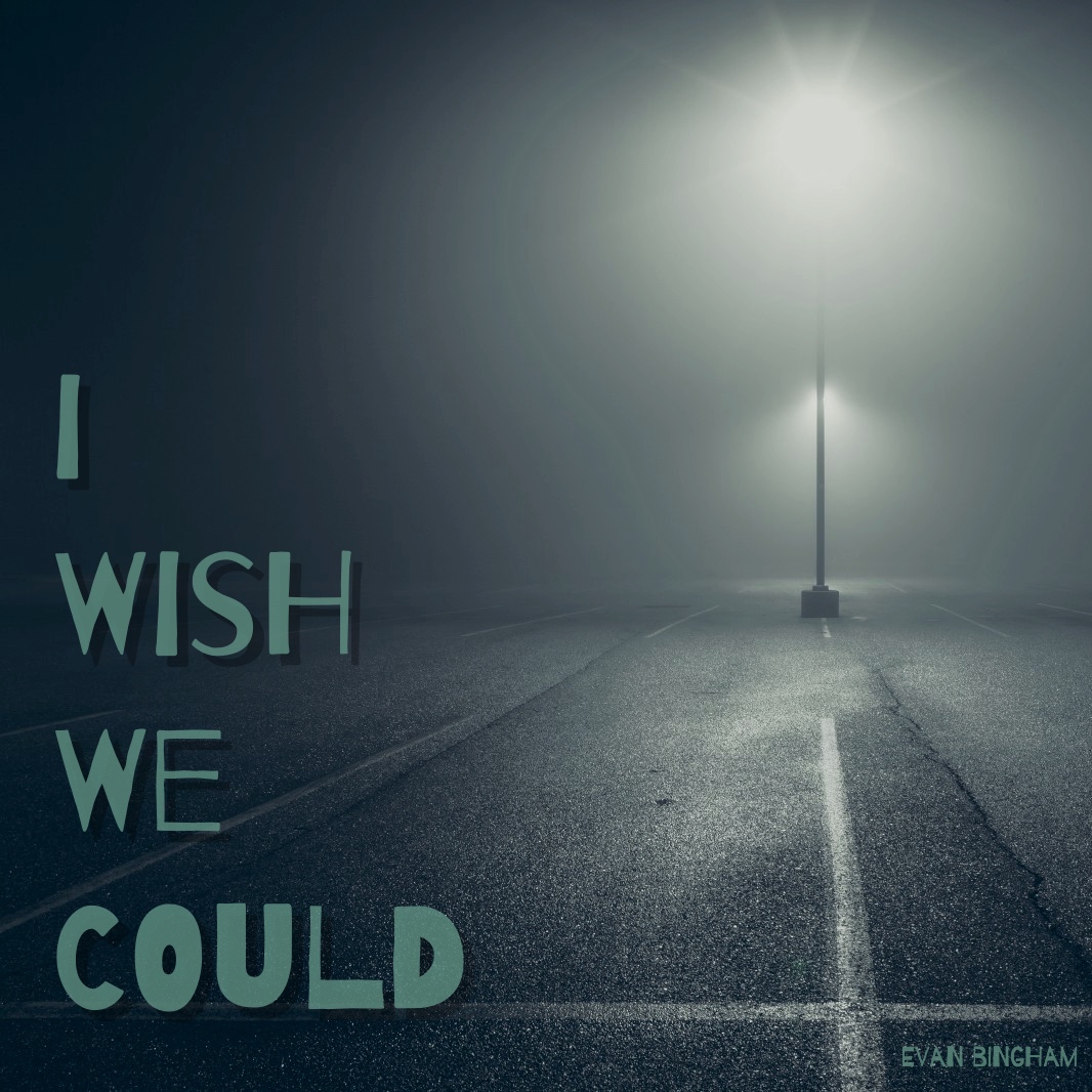 I Wish We Could
