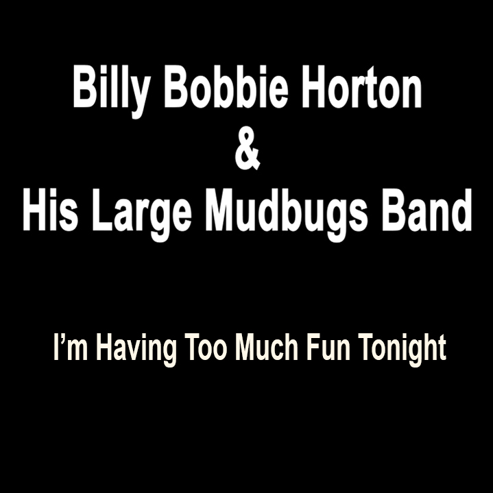 I’m Having Too Much Fun Tonight