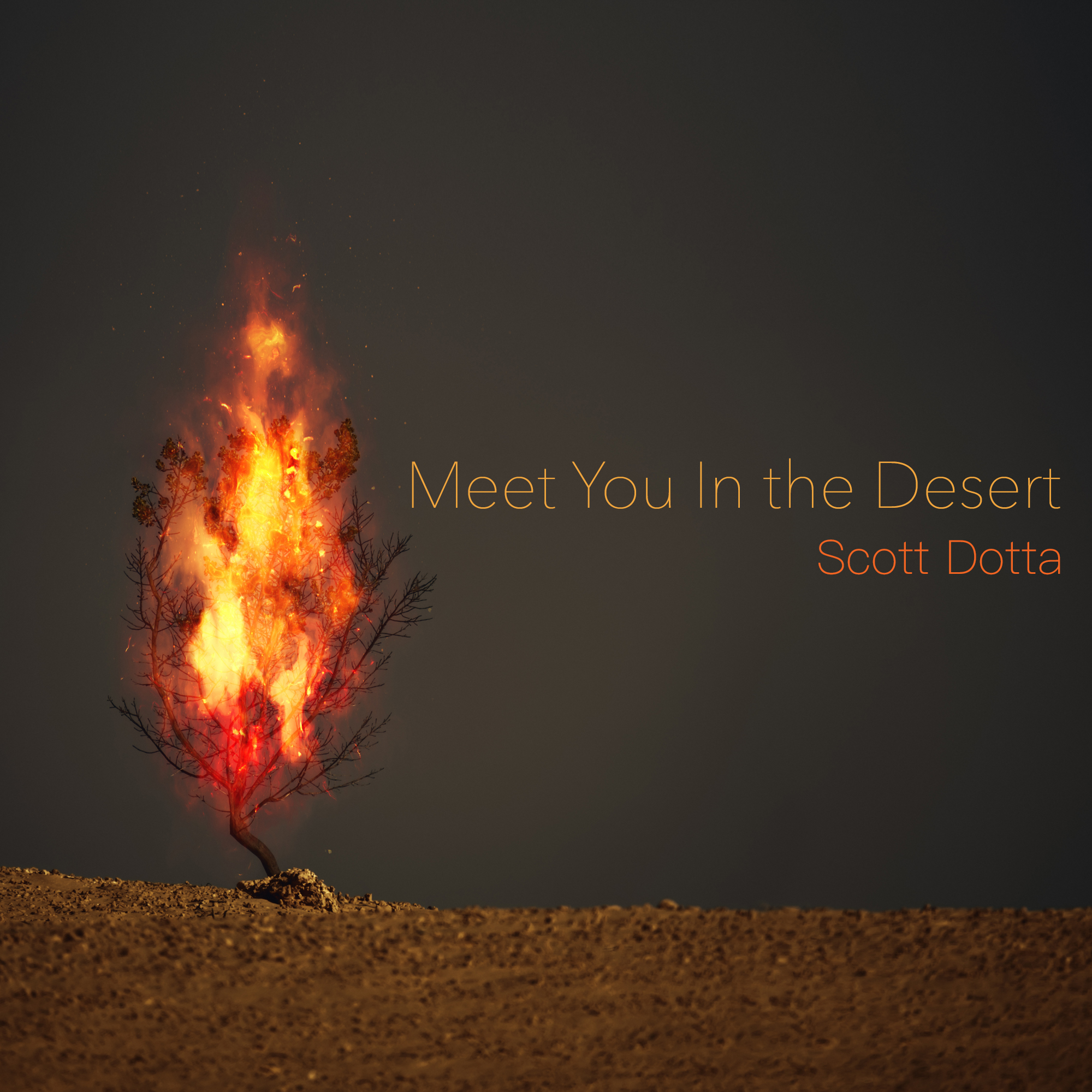 Meet You in the Desert