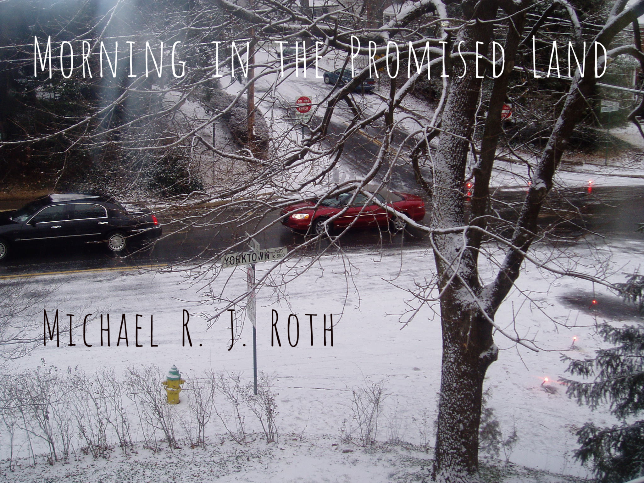 Morning in the Promised Land