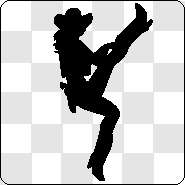 Orange County Cowgirl