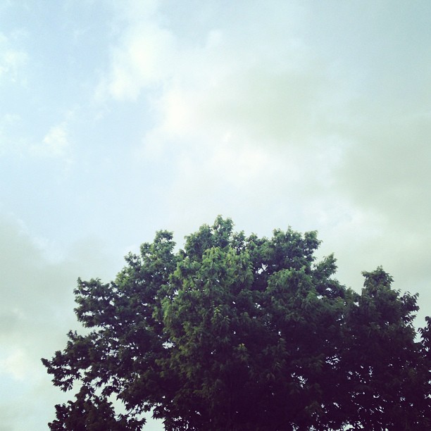 A Good Ole Boy Like Me