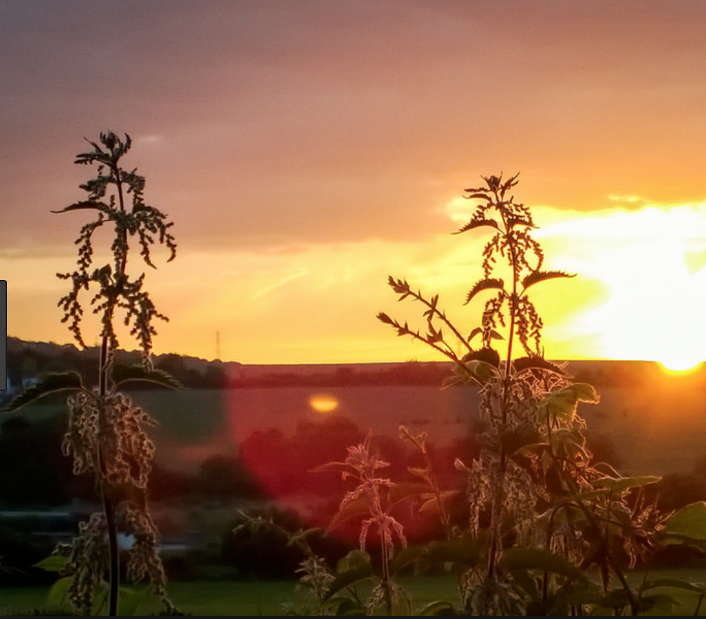 Summer Evenings (Studio Edition)