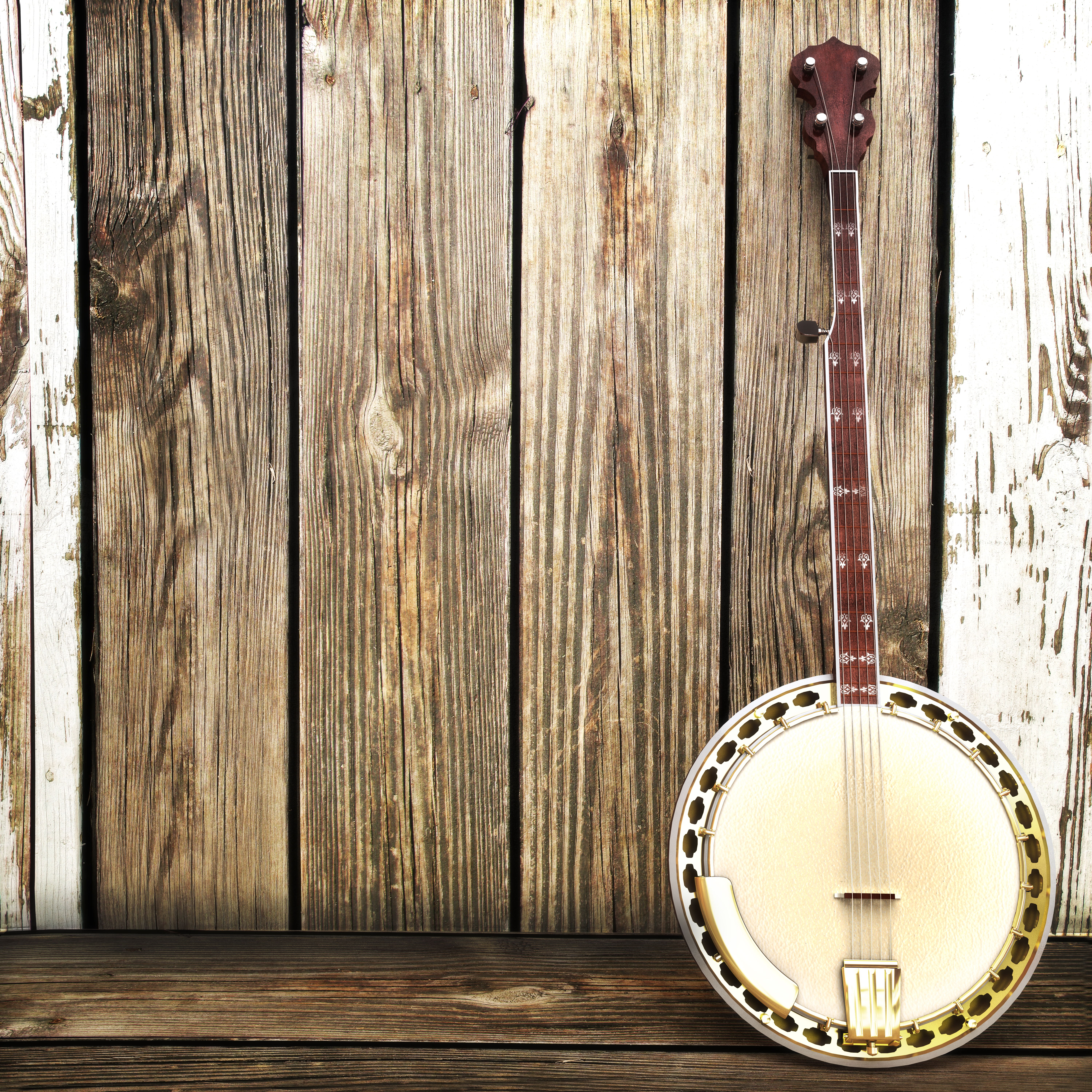 That Old Banjo
