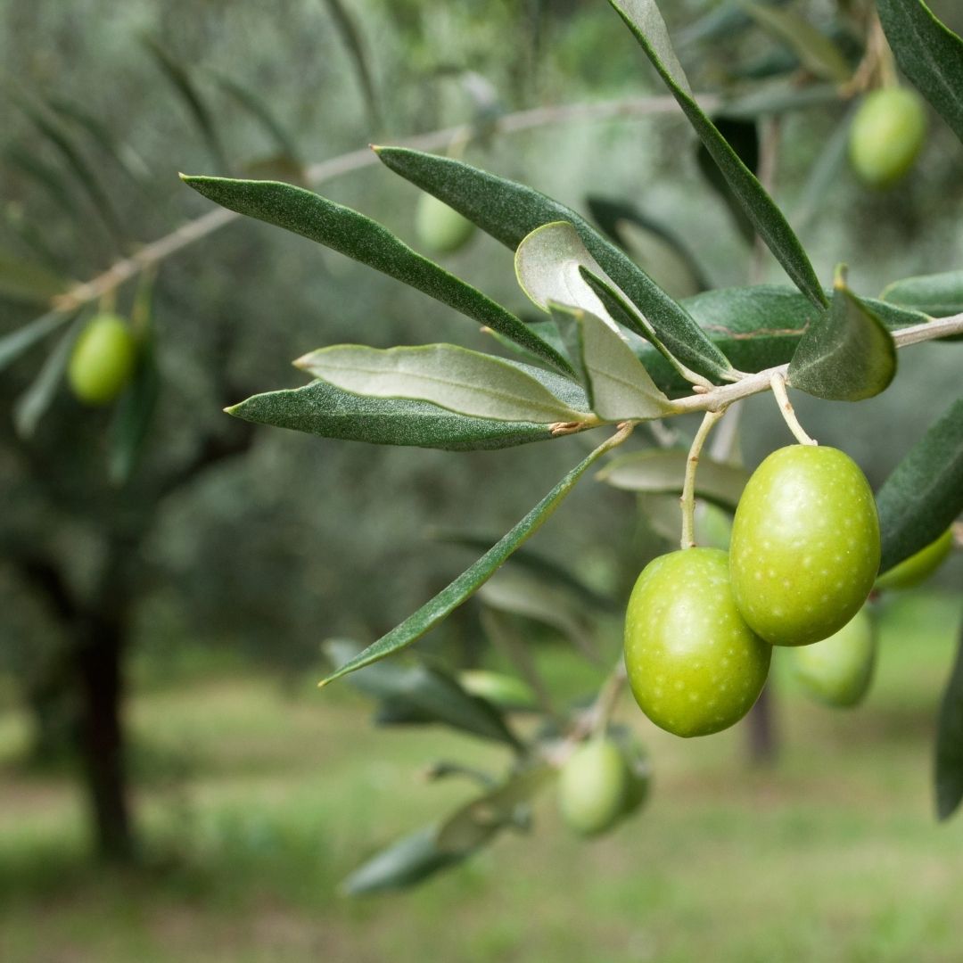 Don’t Know What To Do