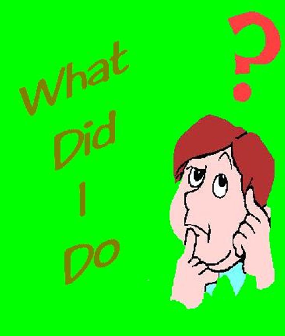 What Did I Do?