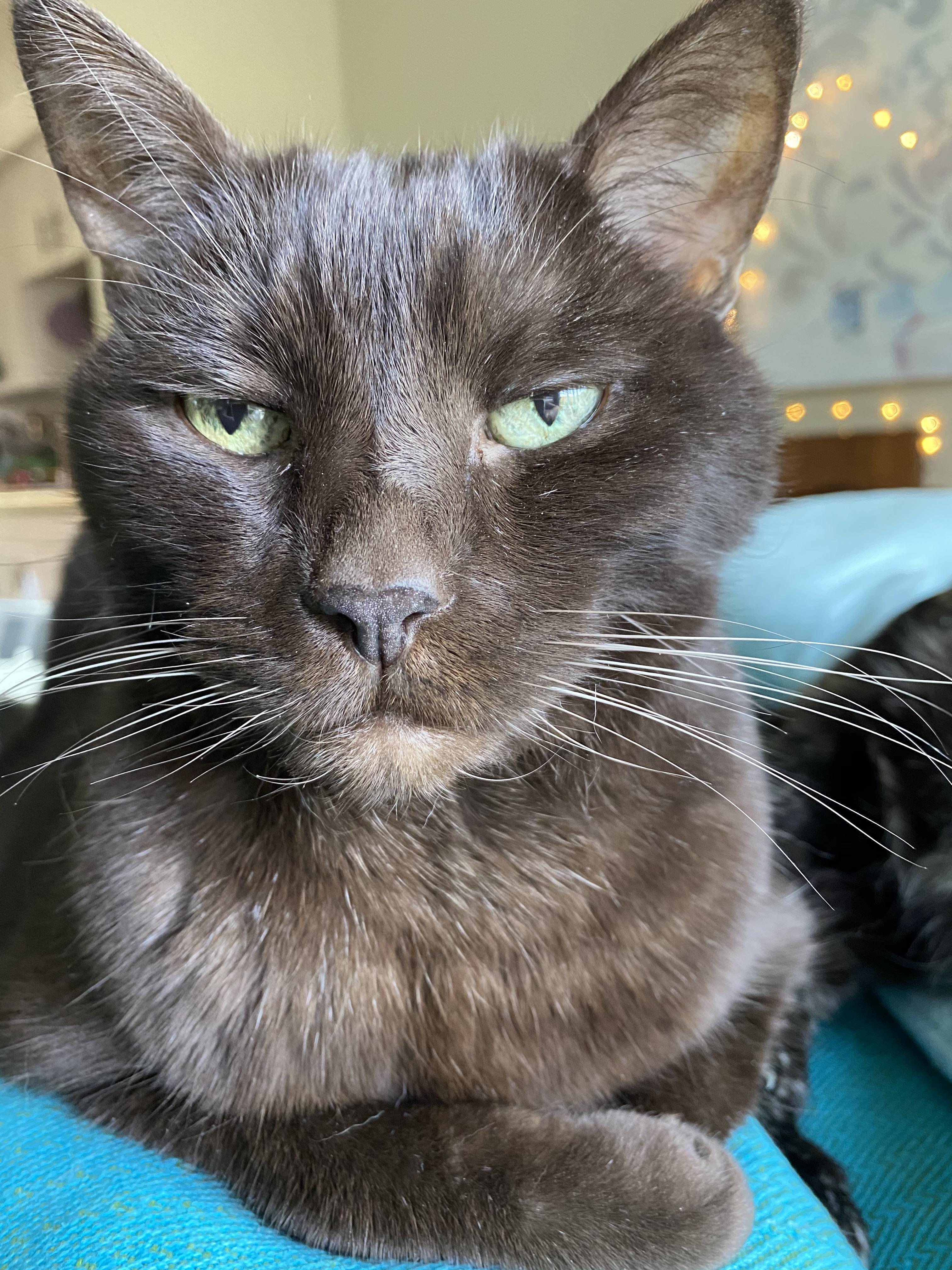 The Woodzmen - Just Like That