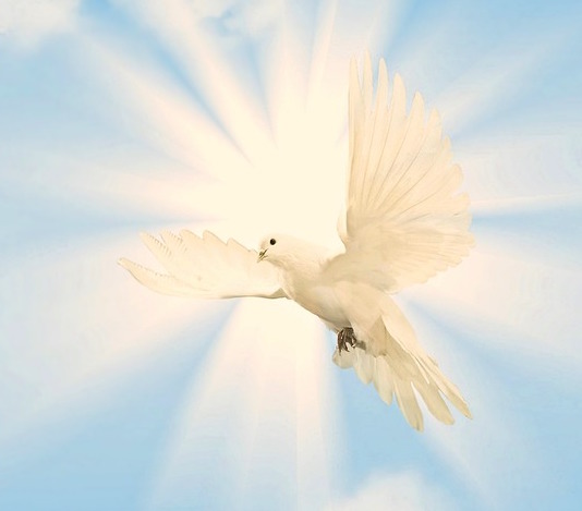 Sun Inside (Undeniable Fire)