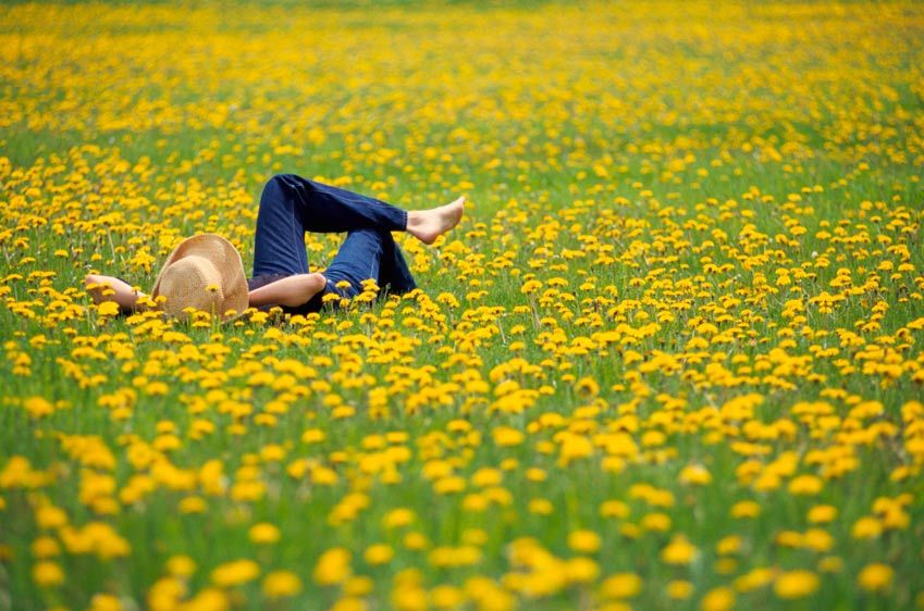 You Mean The World To Me