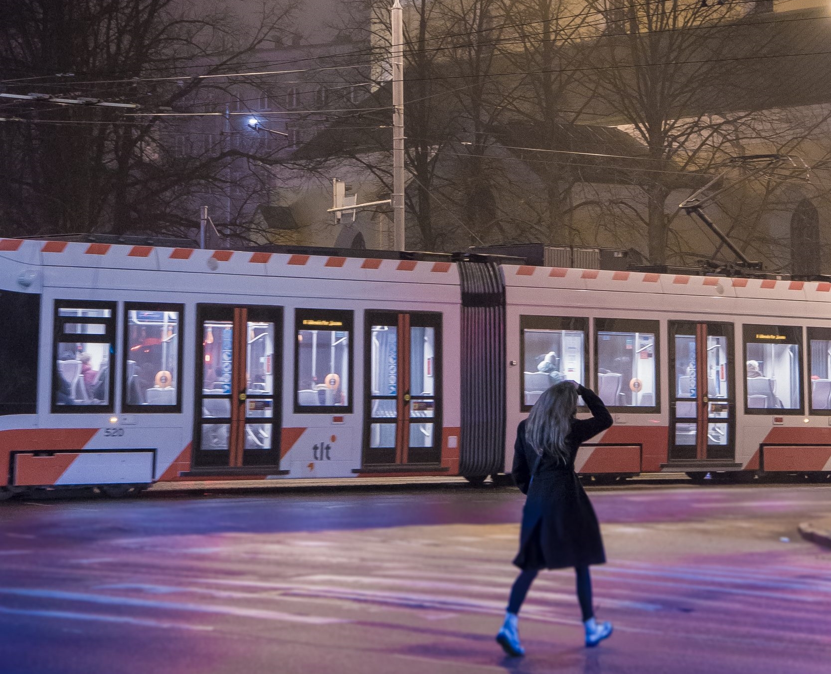 I Didn’t Catch Her Name