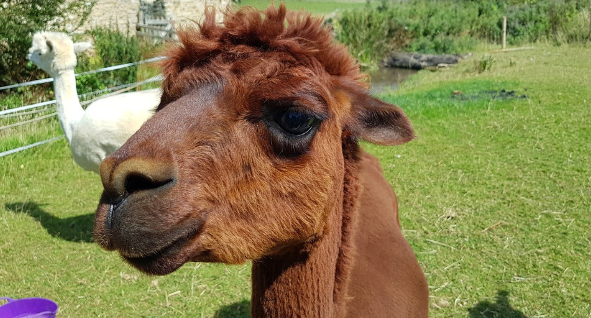 Close-close-closer to Me