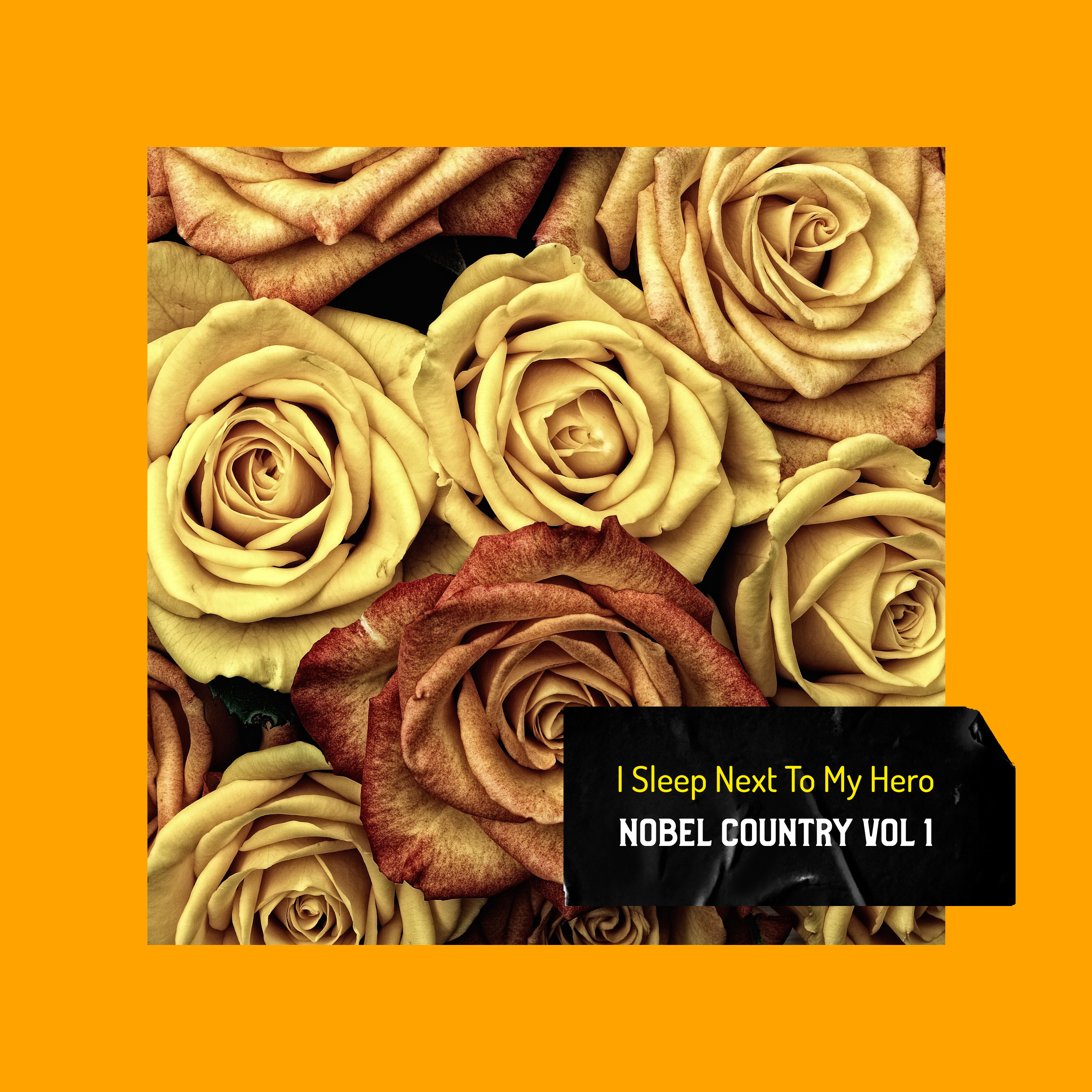 I Sleep Next To My Hero