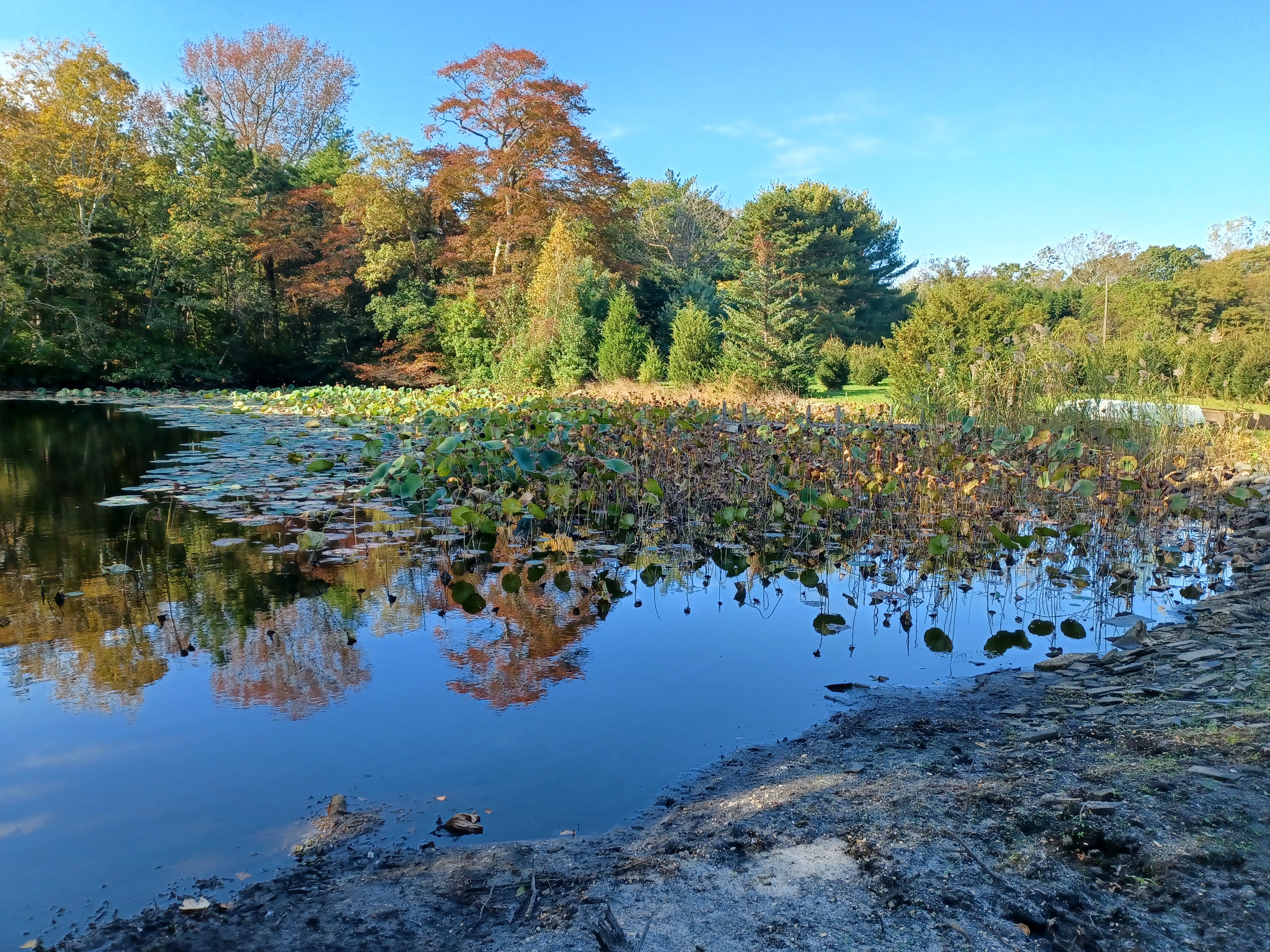 That’s What Love Is