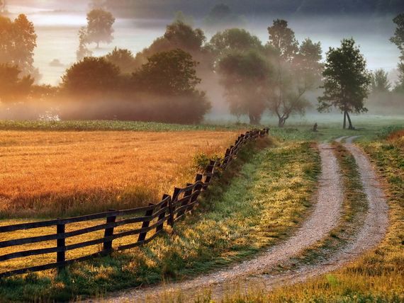 Riding down the highway