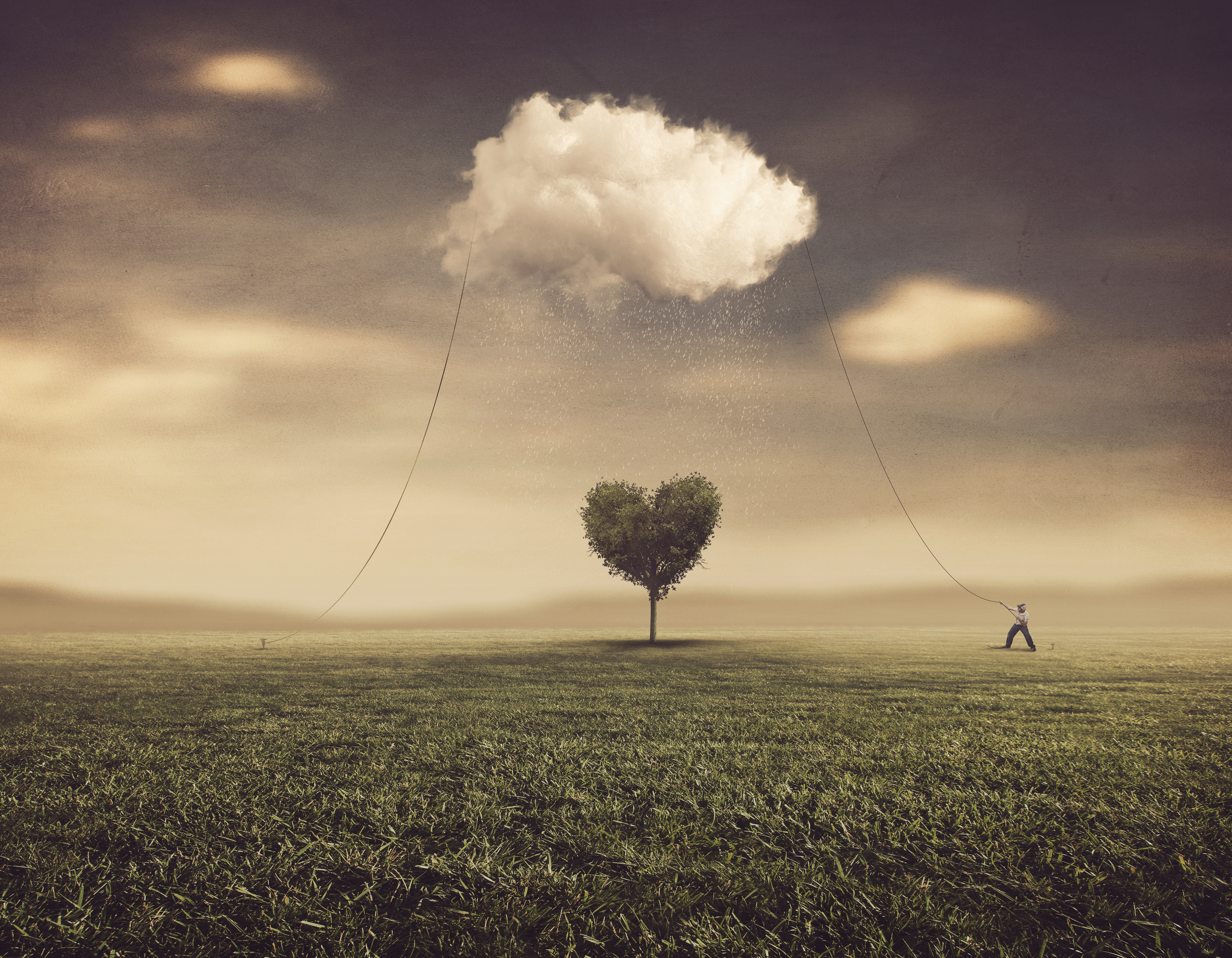 Caught Out in the Rain