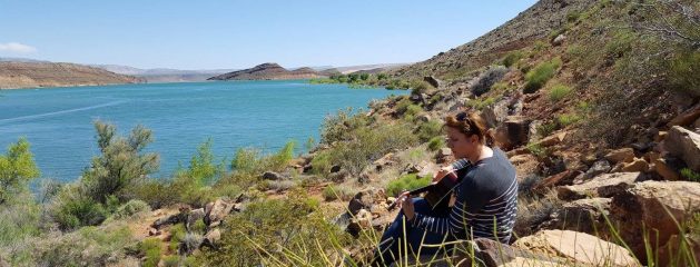 Rise Again (Country Pop Mix)