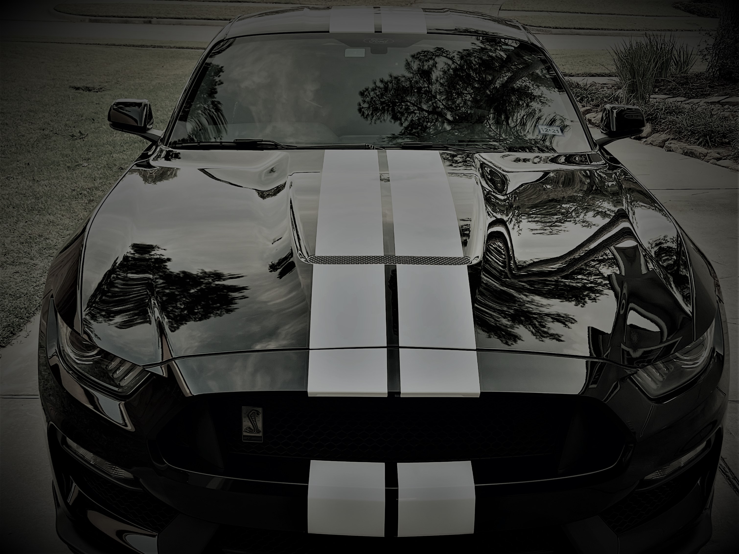 Rollin’ With The Joneses