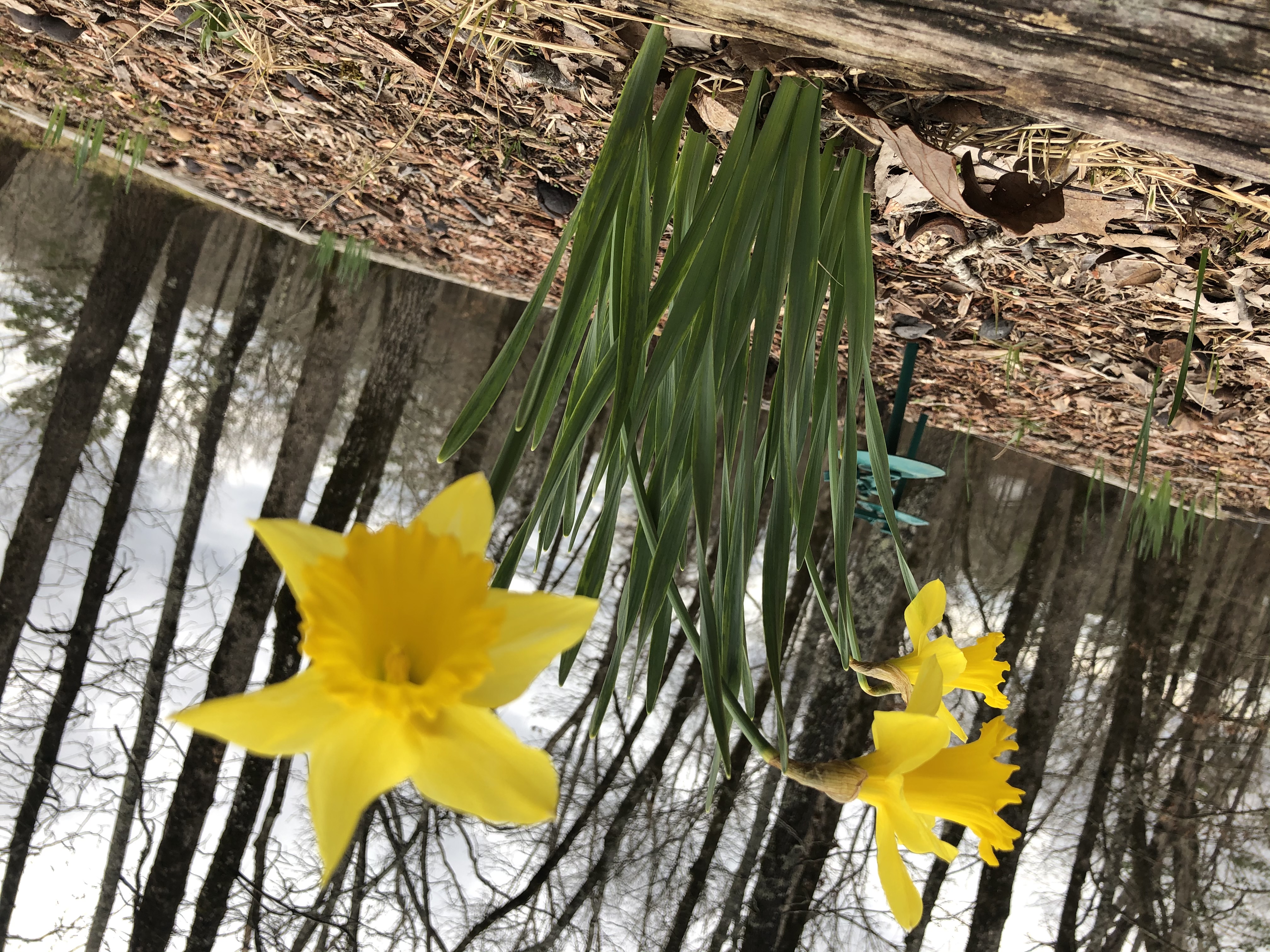 The God Who Made The Mountain