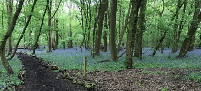 Tia Grace (i dont feel so strong)