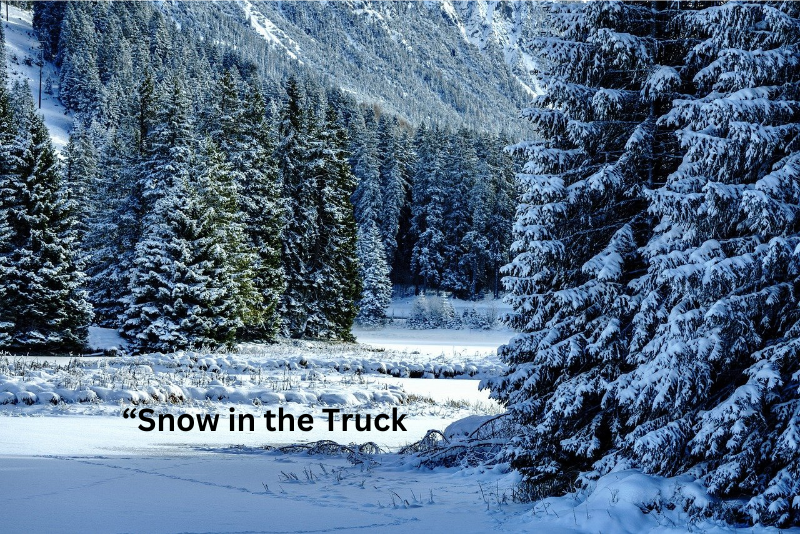 “Snow in the Truck (Christmas Version)”