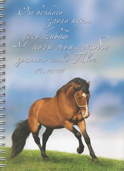 От всякого злого пути удерживаю ноги мои, чтобы хранить слово Твое. Пс.118:101