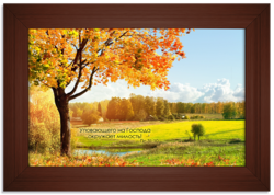 Уповающего на Господа окружает милость