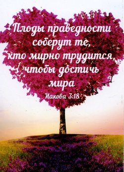 Плоды праведности соберут те, кто мирно трудится, чтобы достичь мира. Иакова 3:18
