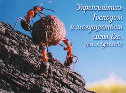 Укрепляйтесь Господом и могуществом силы Его. пос. Ефесянам 6:10