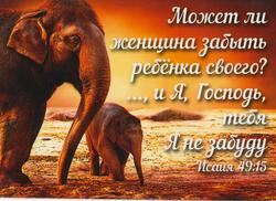 Может ли женщина забыть ребенка своего? ..., и Я, Господь, тебя Я не забуду. Исаия 49:15
