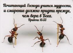 Почитающий Господа учится мудрости, и смирение должно придти прежде, чем вера в Бога. Притчи 15:33
