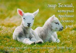 Мир Божий, который превыше всякого ума, соблюдает сердца ваши и помышления ваши во Христе Иисусе. пос. Филиппийцам 4:7