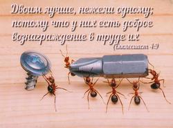 Двоим лучше, нежели одному; потому что у них есть доброе вознаграждение в труде их. Екклесиаст 4:9