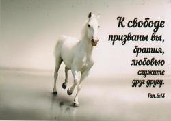 К свободе призваны вы, братия, любовью служите друг другу. Гал.5:13