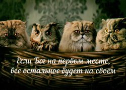 Если Бог на первом месте, все остальное будет на своем
