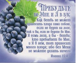 Пребудьте во Мне и Я в вас...